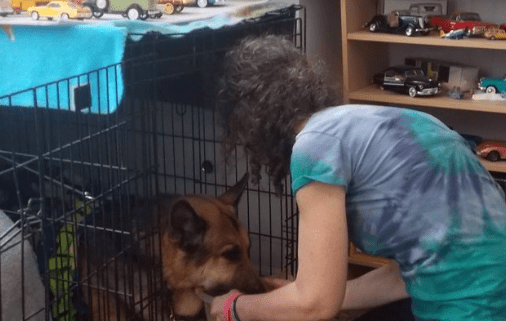 Woman Makes Special Delivery To Dying Dog With Tumor, Owners Couldn't Be More Happy