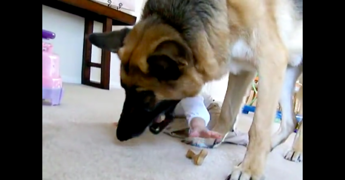 baby steals treat