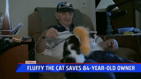 army vet with cat