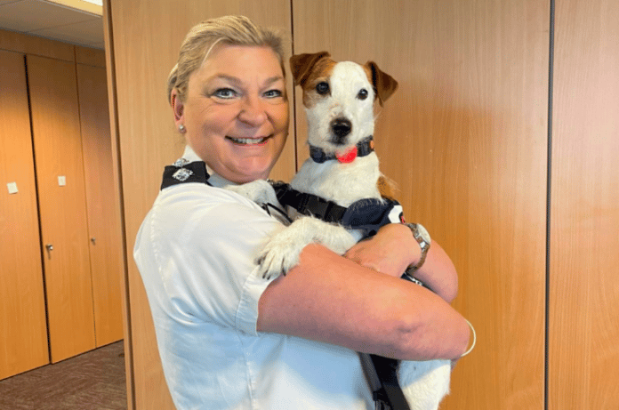 Brave dog with officer