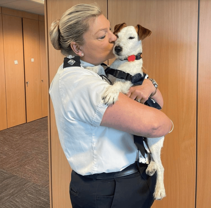 Dog with officer